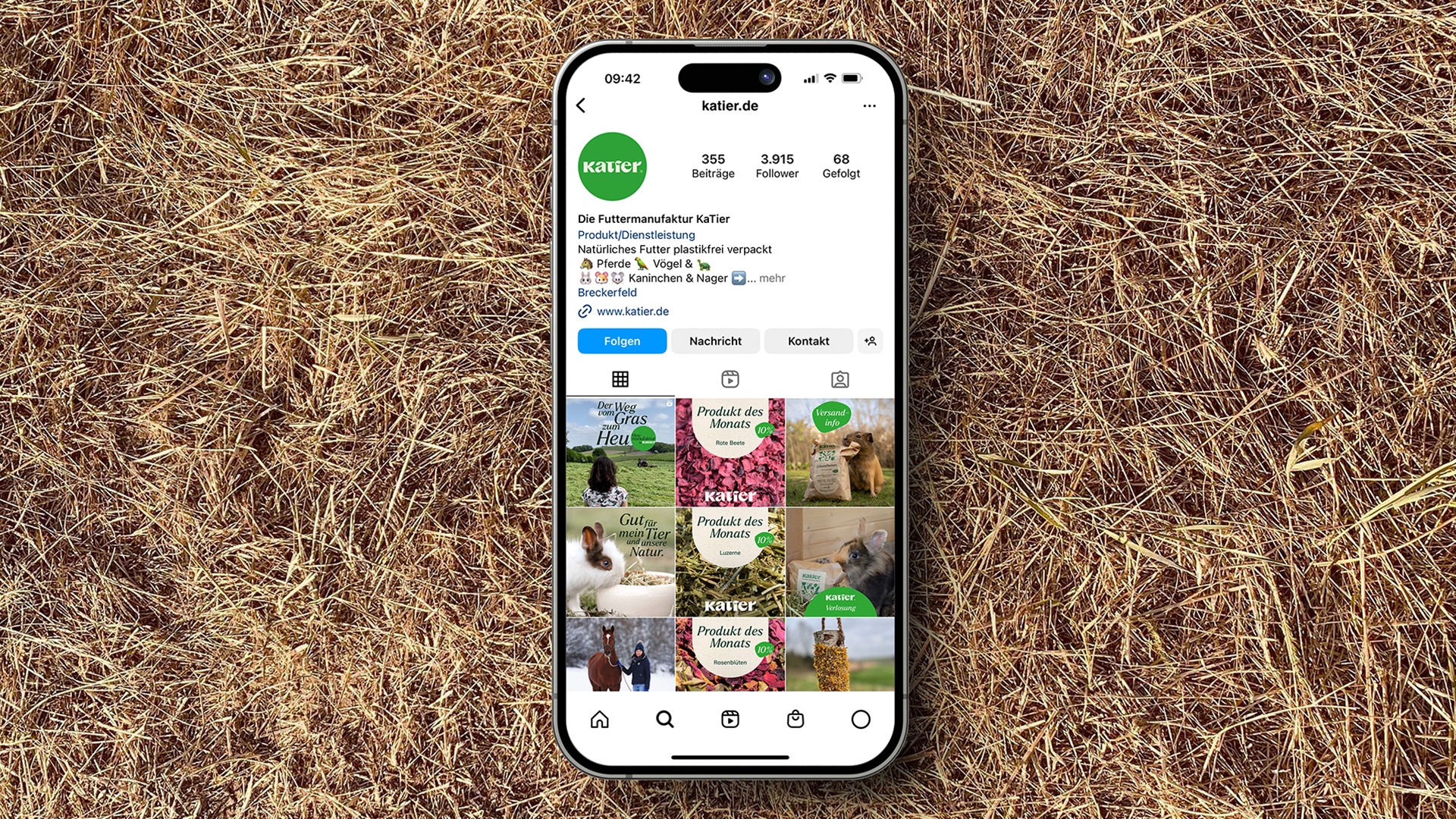 Instagram-Feed von Katier, zu sehen auf einem Apple iPhone 15 Pro, welches im Heu liegt
