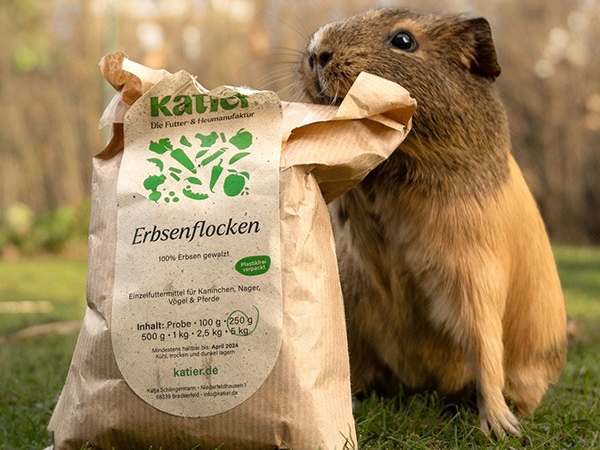 Meerschweinchen neben einer T&uuml;te Erbsenflocken von katier